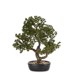 Sztuczne Drzewko Bonsai